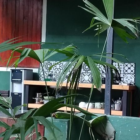 Hotel Boutique The Green Jungle House Puerto Viejo de Talamanca エクステリア 写真