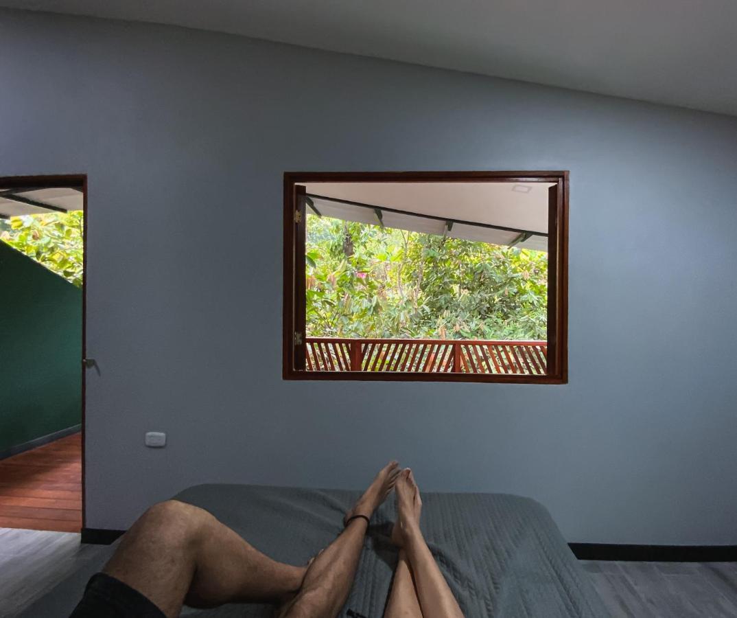 Hotel Boutique The Green Jungle House Puerto Viejo de Talamanca エクステリア 写真