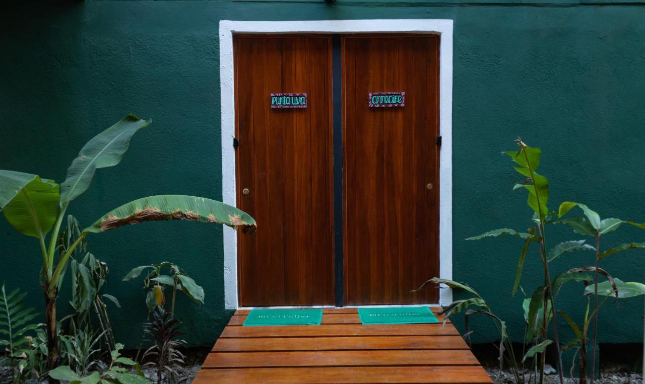 Hotel Boutique The Green Jungle House Puerto Viejo de Talamanca エクステリア 写真