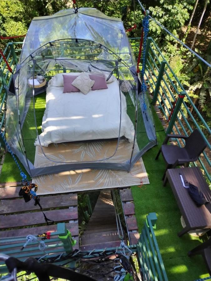 Hotel Boutique The Green Jungle House Puerto Viejo de Talamanca エクステリア 写真
