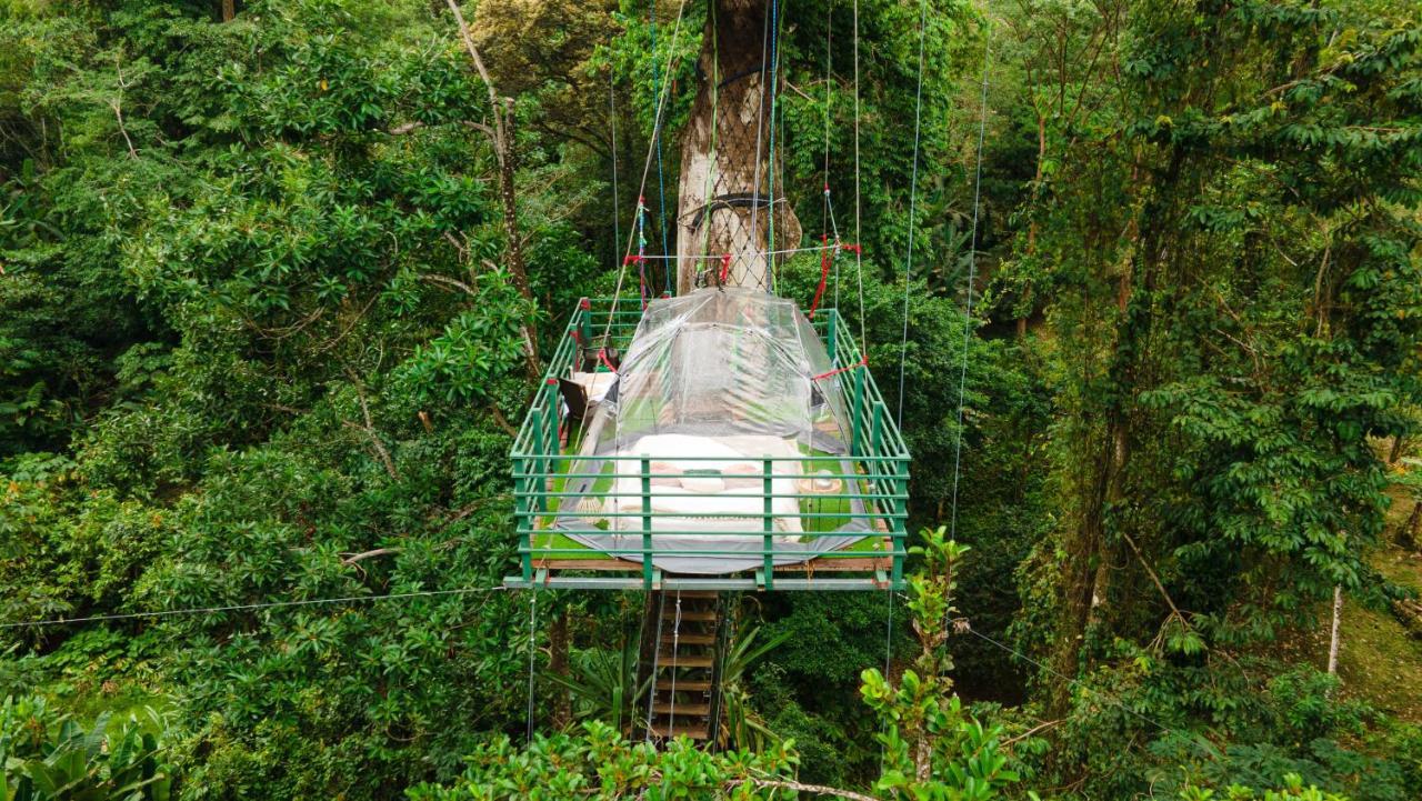 Hotel Boutique The Green Jungle House Puerto Viejo de Talamanca エクステリア 写真