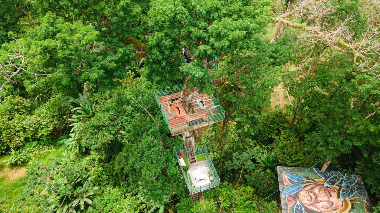 Hotel Boutique The Green Jungle House Puerto Viejo de Talamanca エクステリア 写真