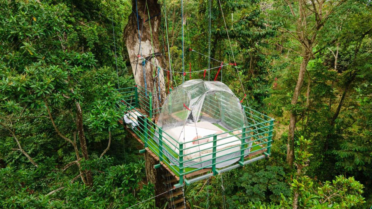 Hotel Boutique The Green Jungle House Puerto Viejo de Talamanca エクステリア 写真