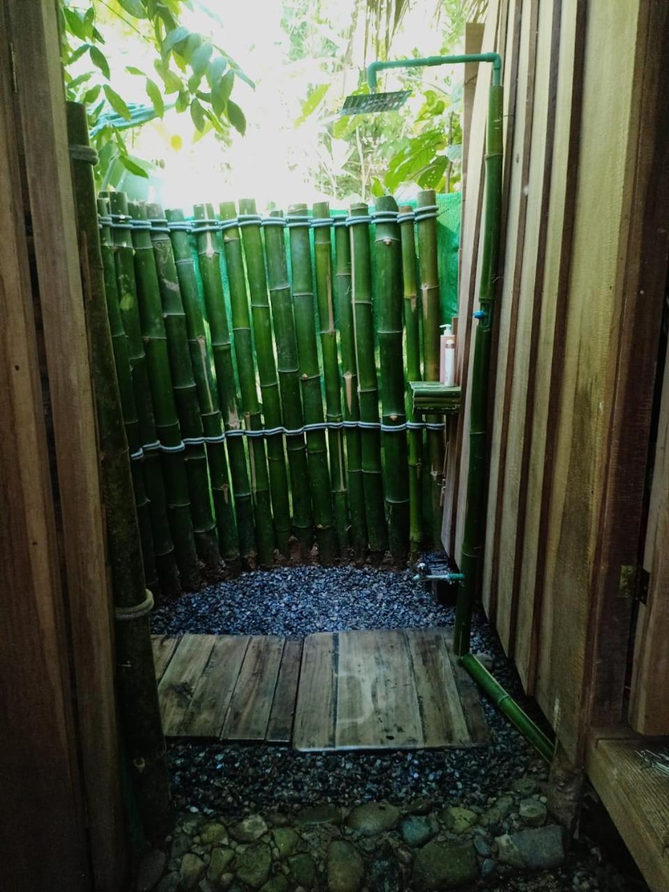 Hotel Boutique The Green Jungle House Puerto Viejo de Talamanca エクステリア 写真