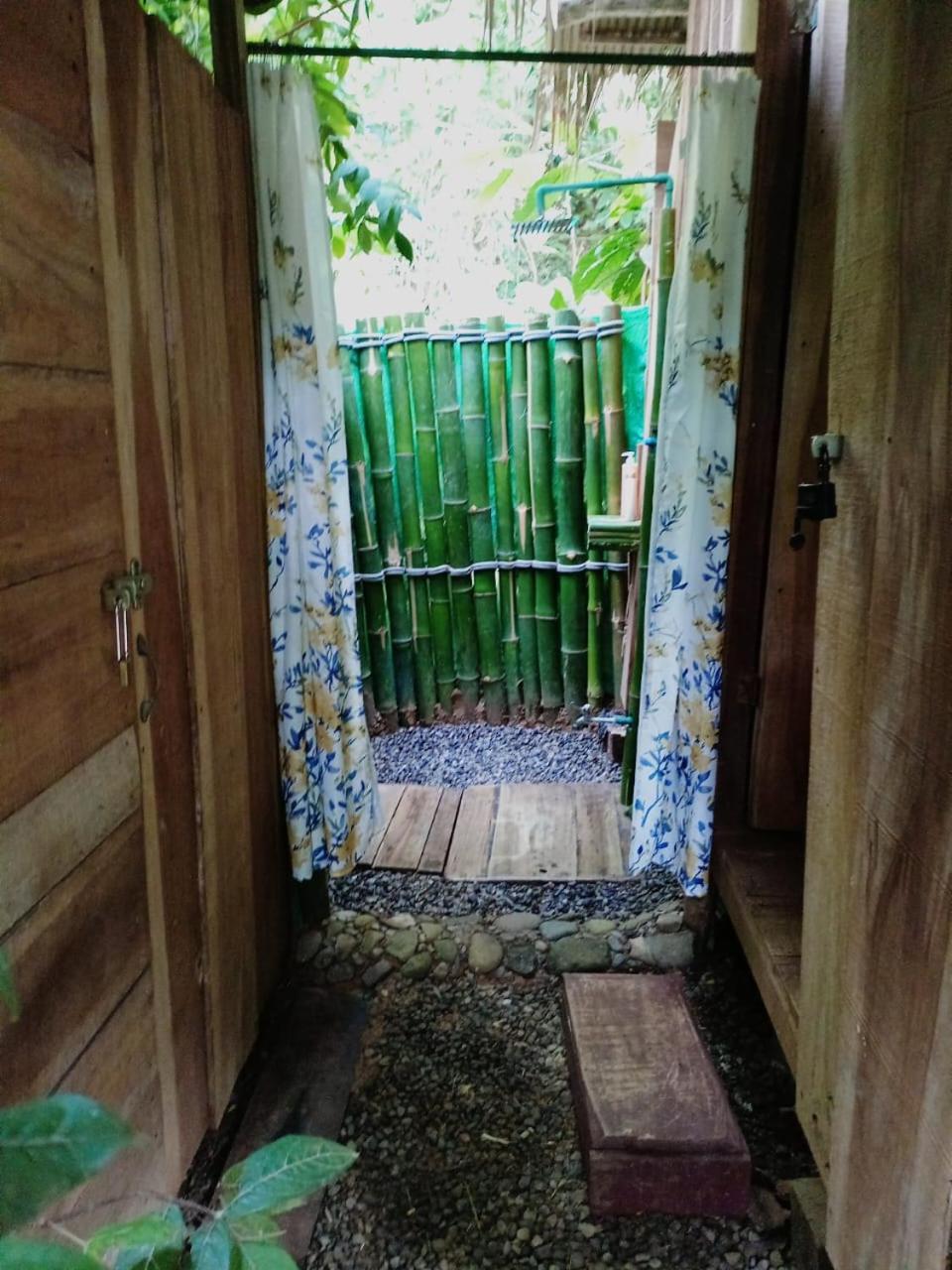 Hotel Boutique The Green Jungle House Puerto Viejo de Talamanca エクステリア 写真